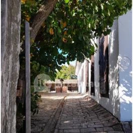 Szabadtéri Néprajzi Múzeum Szentendre - Egyéb