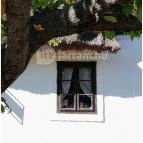 Szabadtéri Néprajzi Múzeum Szentendre - Egyéb