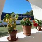 Szabadtéri Néprajzi Múzeum Szentendre - Egyéb