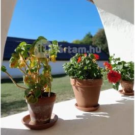 Szabadtéri Néprajzi Múzeum Szentendre - Egyéb