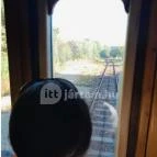 Szabadtéri Néprajzi Múzeum Szentendre - Egyéb