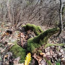 Szent Mihály-hegy, Zebegény - Egyéb