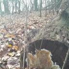 Szent Mihály-hegy Zebegény - Egyéb