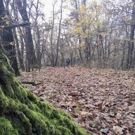 Szent Mihály-hegy, Zebegény - Egyéb