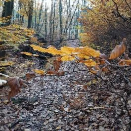 Szent Mihály-hegy, Zebegény - Egyéb