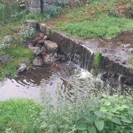 Szent Mihály-hegy, Zebegény - Egyéb