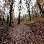 Szent Mihály-hegy Zebegény - Egyéb