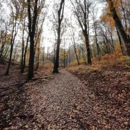 Szent Mihály-hegy, Zebegény - Egyéb