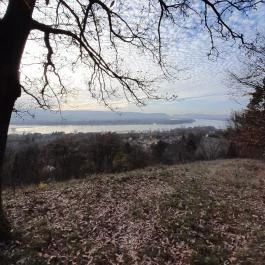 Szent Mihály-hegy, Zebegény - Egyéb