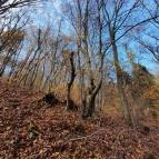 Szent Mihály-hegy Zebegény - Egyéb