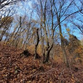 Szent Mihály-hegy, Zebegény - Egyéb