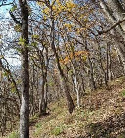 2. legjobb látnivaló: Szent Mihály-hegy