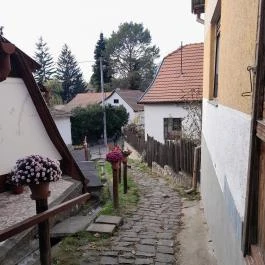 Szent Mihály-hegy, Zebegény - Egyéb