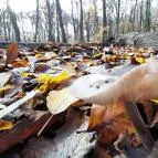 Szent Mihály-hegy Zebegény - Egyéb