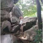 Szentbékkállai Kőtenger Szentbékkálla - Egyéb