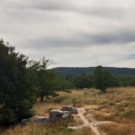 Szentbékkállai Kőtenger, Szentbékkálla - Egyéb