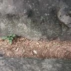 Szentbékkállai Kőtenger Szentbékkálla - Egyéb