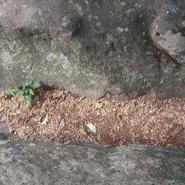 Szentbékkállai Kőtenger, Szentbékkálla - Egyéb