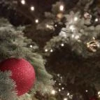 Szentendre fő tere Szentendre - Egyéb