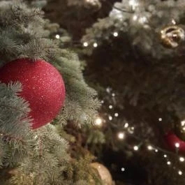 Szentendre fő tere, Szentendre - Egyéb