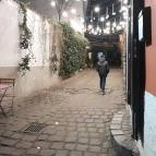 Szentendre fő tere Szentendre - Egyéb