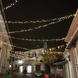 Szentendre fő tere, Szentendre - Egyéb