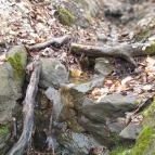 Szopláki-ördöglyuk Pilisszentkereszt - Egyéb