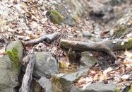 Szopláki-ördöglyuk Pilisszentkereszt