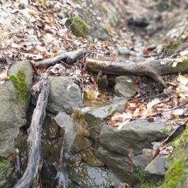 Szopláki-ördöglyuk, Pilisszentkereszt - Egyéb