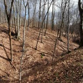 Szopláki-ördöglyuk, Pilisszentkereszt - Egyéb