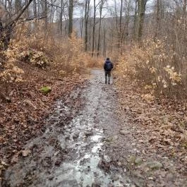 Szopláki-ördöglyuk, Pilisszentkereszt - Egyéb