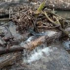 Szopláki-ördöglyuk Pilisszentkereszt - Egyéb