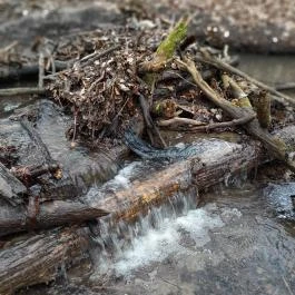Szopláki-ördöglyuk, Pilisszentkereszt - Egyéb