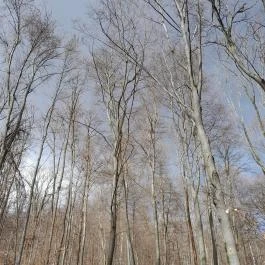 Szopláki-ördöglyuk, Pilisszentkereszt - Egyéb