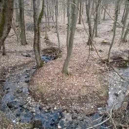 Szopláki-ördöglyuk, Pilisszentkereszt - Egyéb