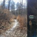 Szopláki-ördöglyuk Pilisszentkereszt - Egyéb