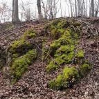 Szopláki-ördöglyuk Pilisszentkereszt - Egyéb