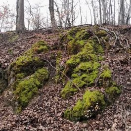 Szopláki-ördöglyuk, Pilisszentkereszt - Egyéb