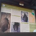 Szopláki-ördöglyuk Pilisszentkereszt - Egyéb