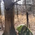 Szopláki-ördöglyuk Pilisszentkereszt - Egyéb