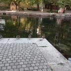 Tapolcai vízimalom Tapolca - Egyéb