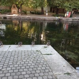 Tapolcai vízimalom , Tapolca - Egyéb