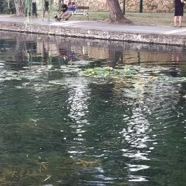 Tapolcai vízimalom , Tapolca - Egyéb