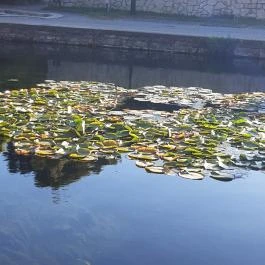 Tapolcai vízimalom , Tapolca - Egyéb