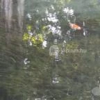 Tapolcai vízimalom Tapolca - Egyéb