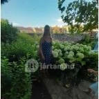 Tapolcai vízimalom Tapolca - Egyéb