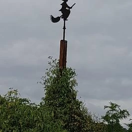 Taródi Vár, Sopron - Egyéb