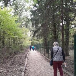 Taródi Vár, Sopron - Egyéb