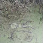 Teknős tanösvény Dunakeszi - Egyéb