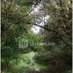 Teknős tanösvény Dunakeszi - Egyéb